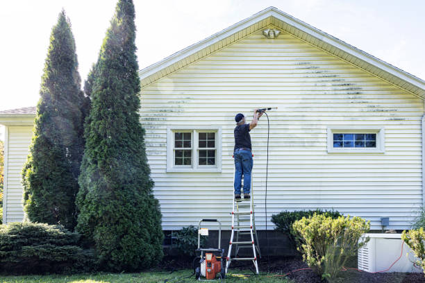  New Paris, OH Pressure Washing Pros